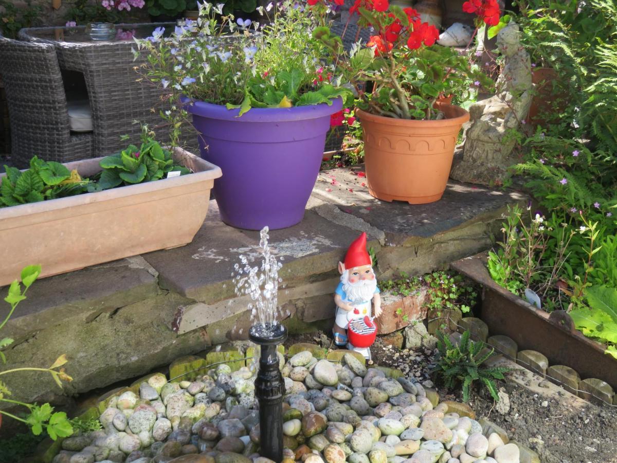 Little Orchard Apartment Pont Yates Buitenkant foto