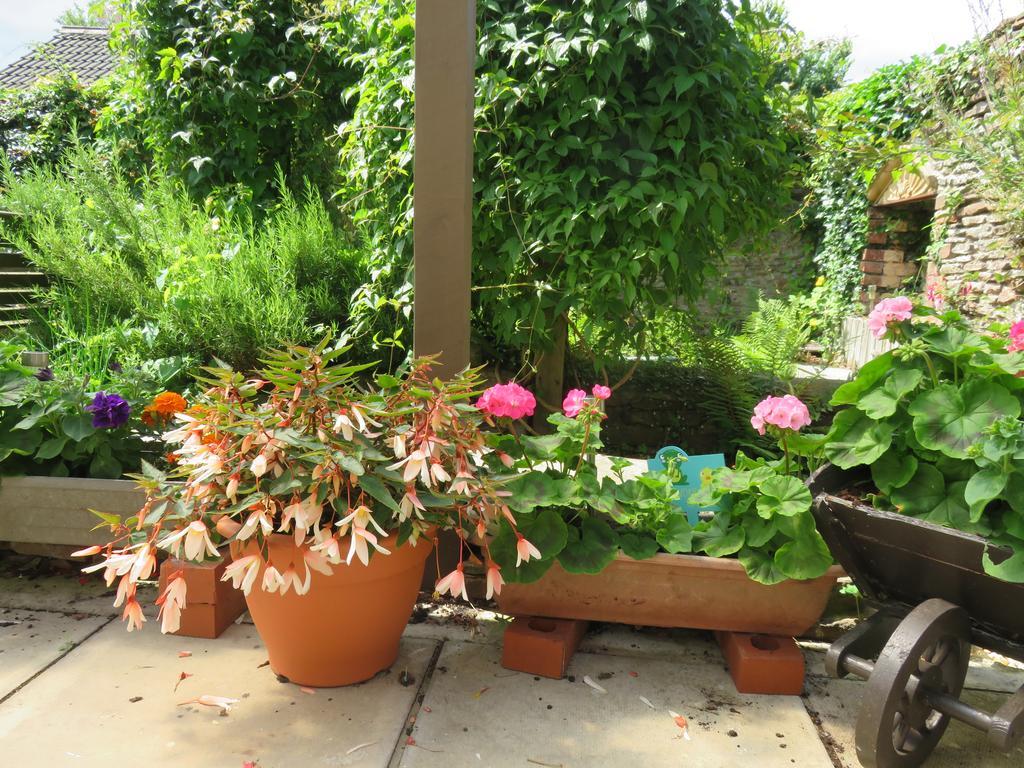 Little Orchard Apartment Pont Yates Buitenkant foto