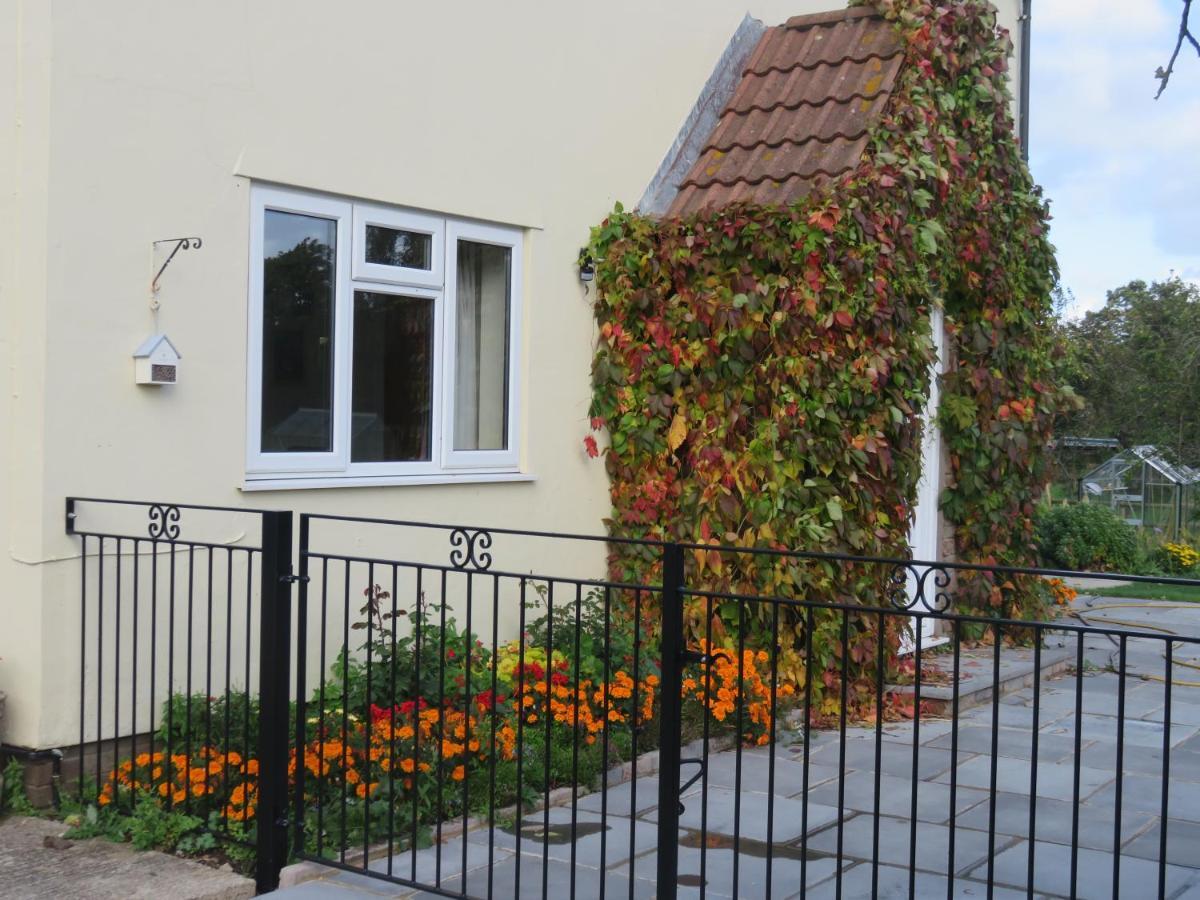 Little Orchard Apartment Pont Yates Buitenkant foto